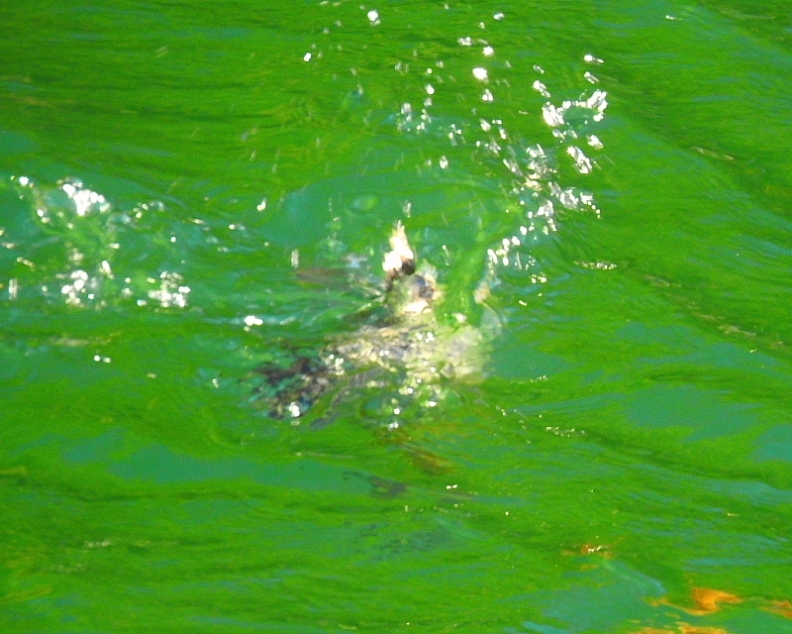 c0305565_17251699.jpg