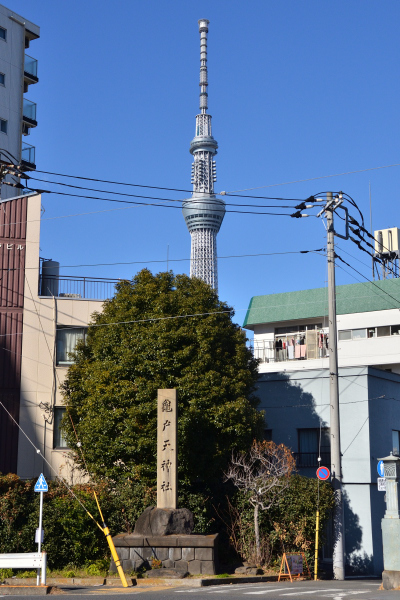 2019年初詣　亀戸天神_b0338976_17153928.jpg