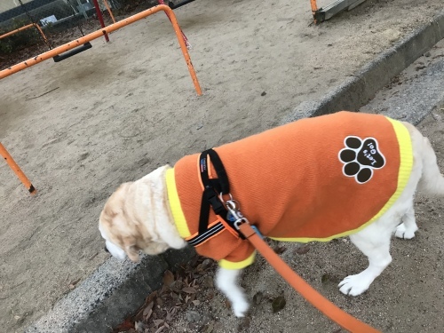 f0315081_20474284.jpeg