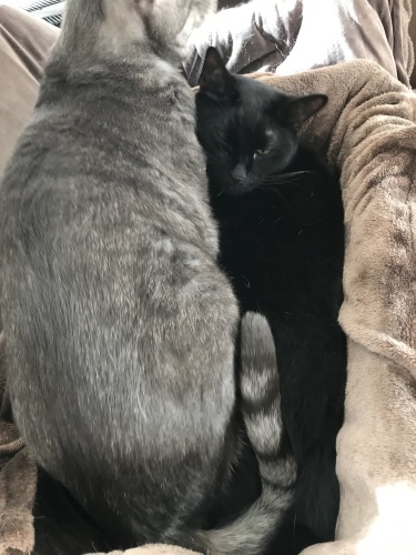 c0340786_23535648.jpeg