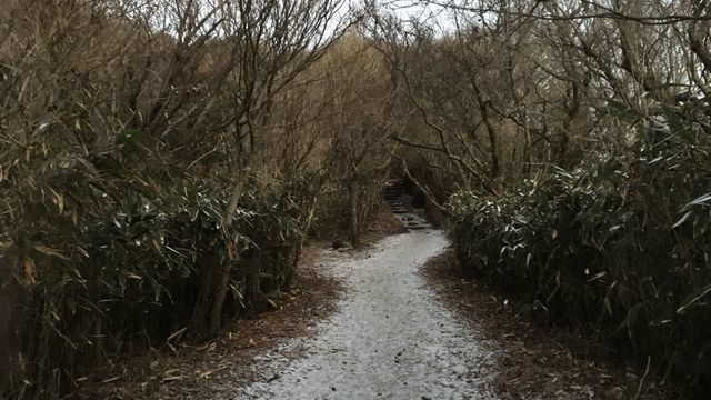c0133096_14464694.jpg