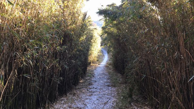 c0133096_15020983.jpg
