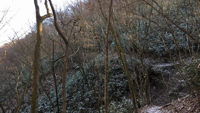 c0133096_15094784.jpg