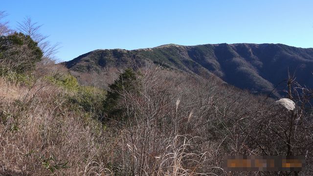 c0133096_17575279.jpg