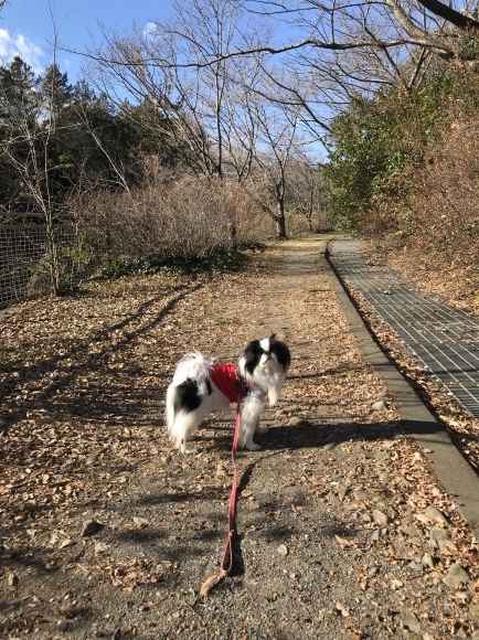 今日は寒かった!けど行きましたよ。_a0155999_22205670.jpeg