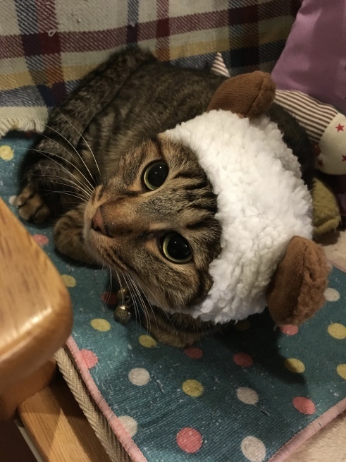 c0362401_20243719.jpeg