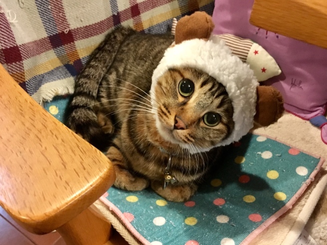 c0362401_20265162.jpeg