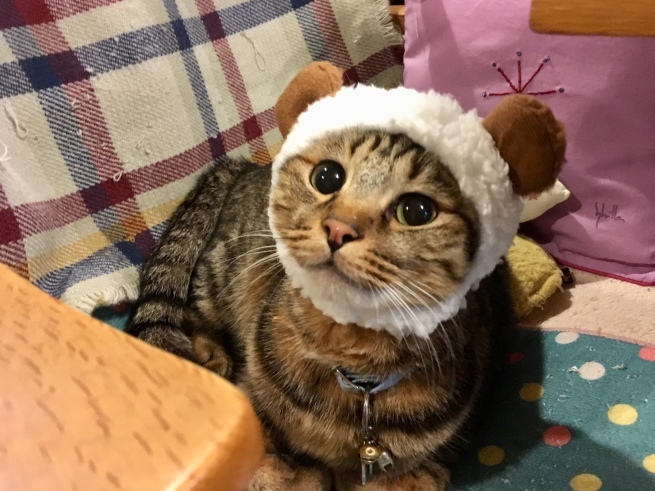 c0362401_20270581.jpeg