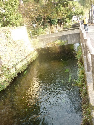 e0366602_04304316.jpg