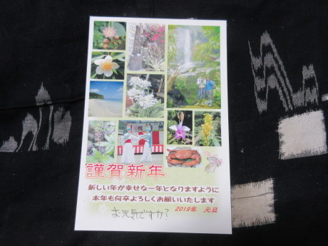 a0203003_21310389.jpg