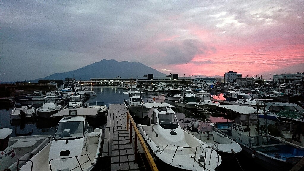 鹿児島で年末年始 桜島と赤マンボウと箱根駅伝_b0221506_18141306.jpg