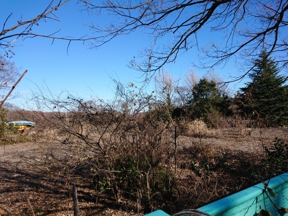 1/2 新春ウォーキング大会_b0042308_08355829.jpg