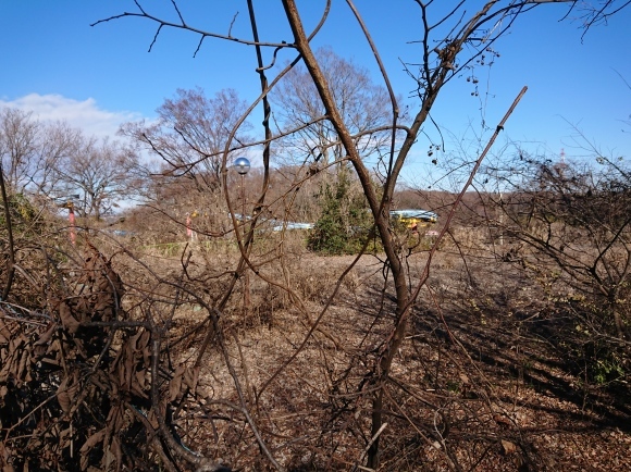 1/2 新春ウォーキング大会_b0042308_08362370.jpg