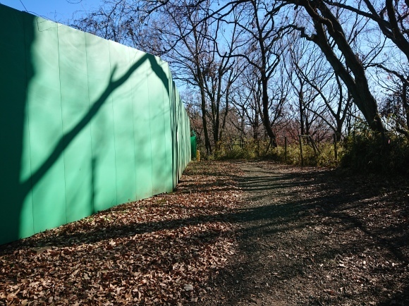 1/2 新春ウォーキング大会_b0042308_08430773.jpg
