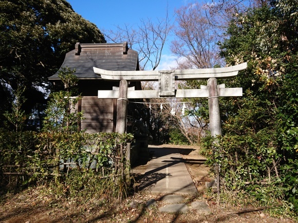 1/2 新春ウォーキング大会_b0042308_08461692.jpg