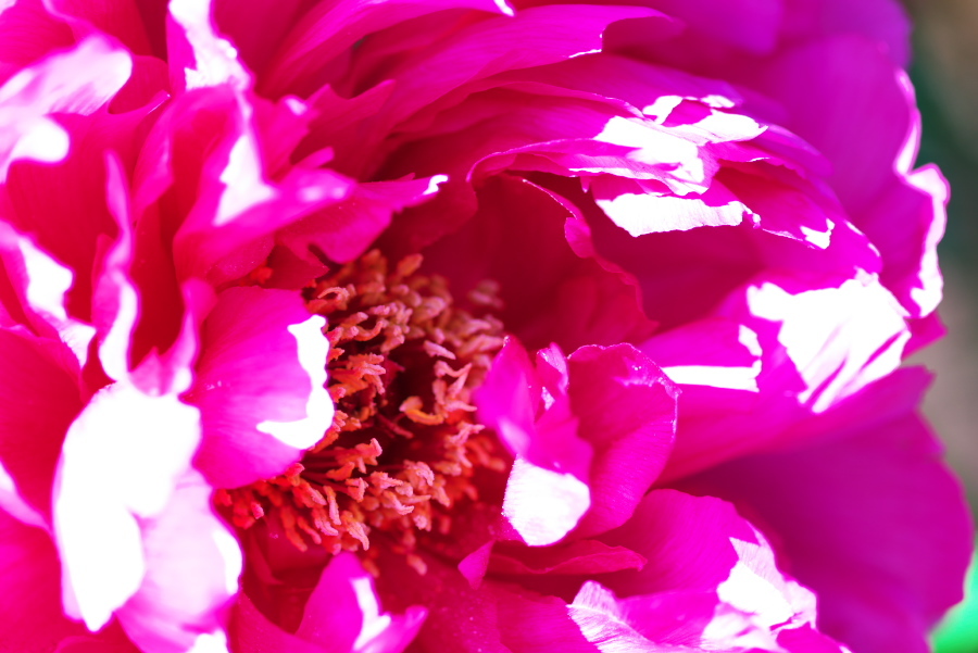a0263109_21041344.jpg
