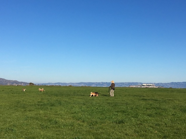 b0366211_05501579.jpeg