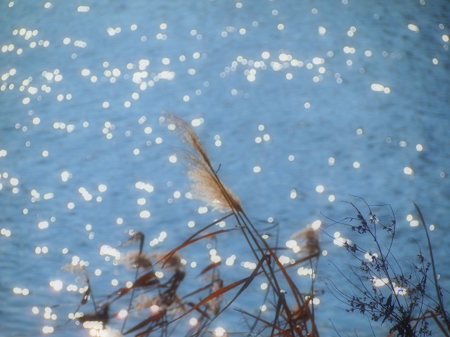 d0295818_00545637.jpg