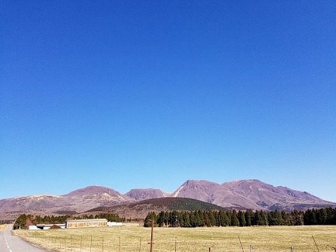 e0102522_08150400.jpg