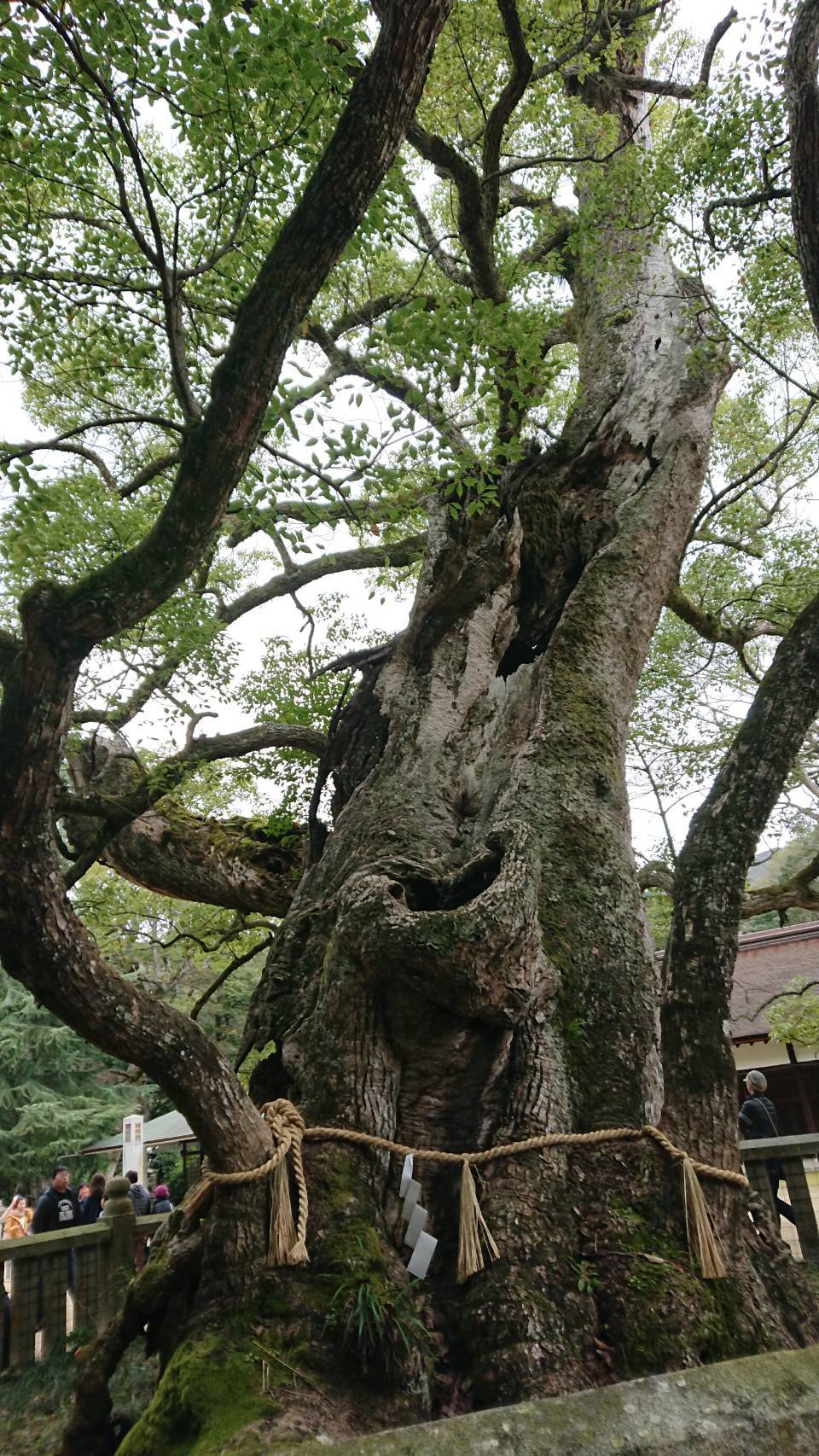 c0173826_11501337.jpg