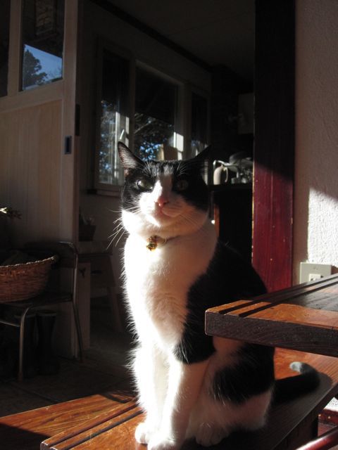 c0292328_22173980.jpg