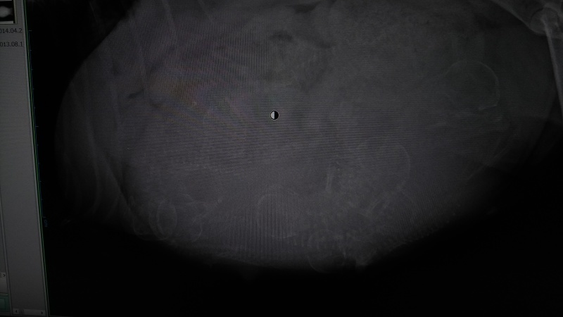 b0193632_13042126.jpg