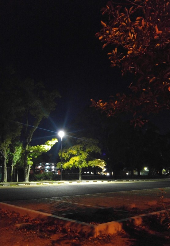 f0361132_15533794.jpg