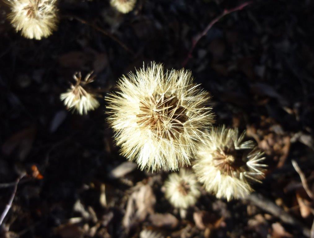b0298935_21075517.jpg