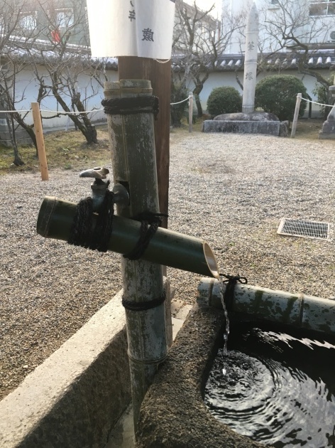 c0199535_22463159.jpeg