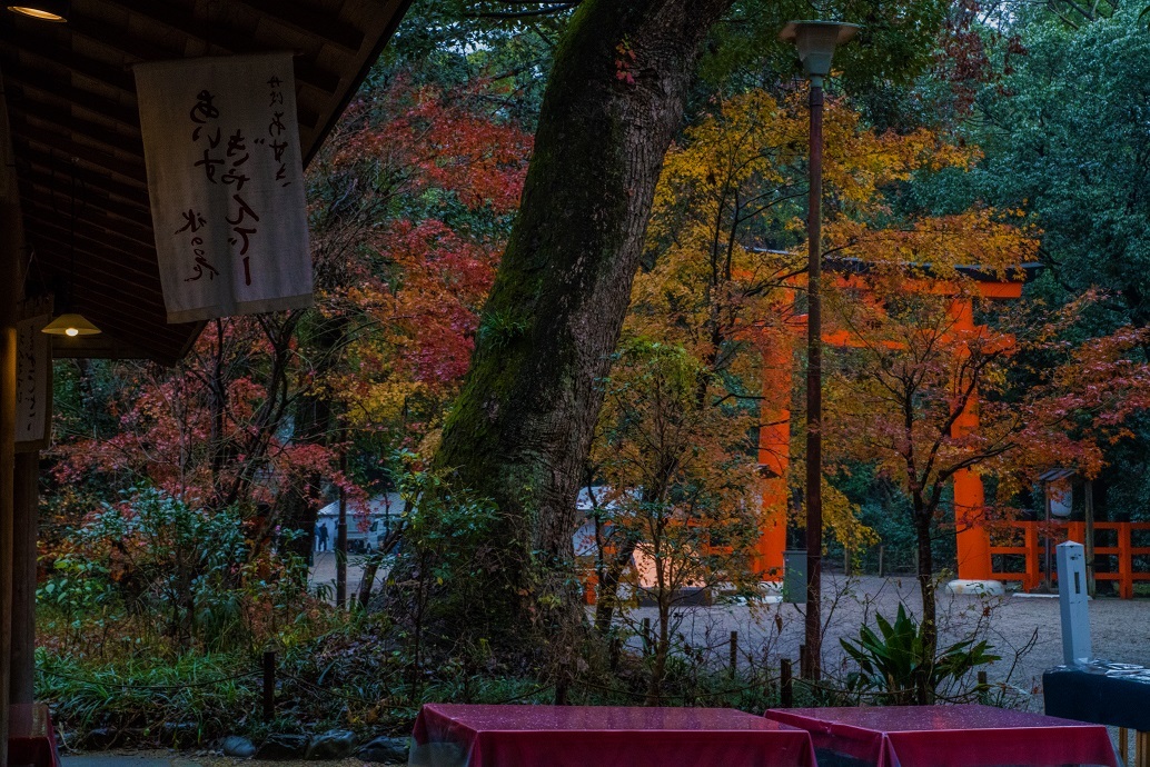 下鴨神社の絵馬と糺の森_e0363038_17330733.jpg