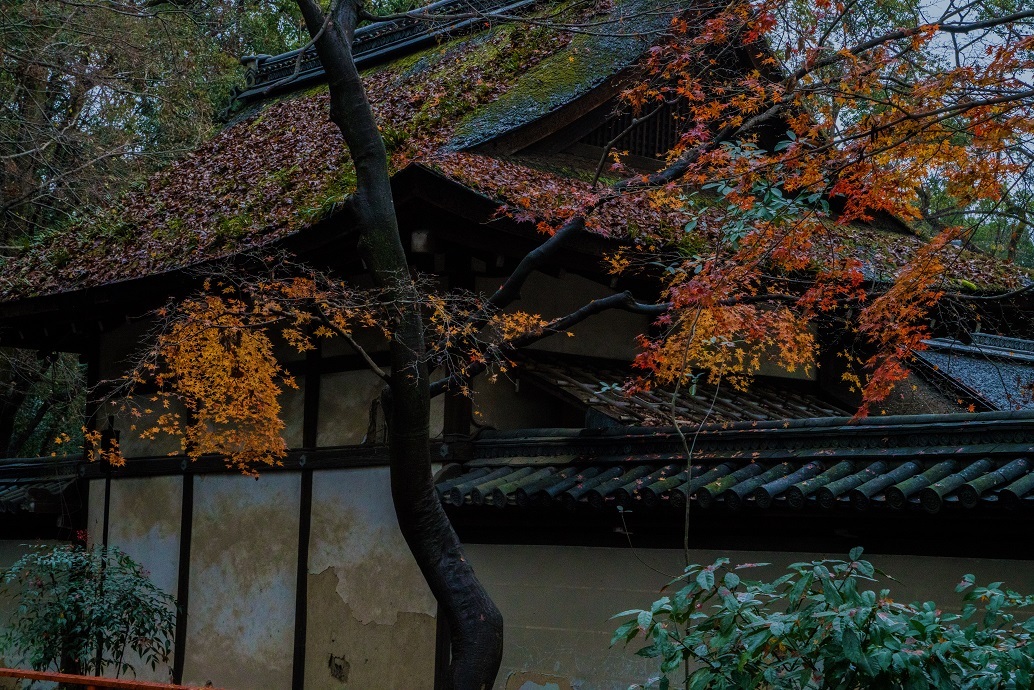 下鴨神社の絵馬と糺の森_e0363038_17333296.jpg