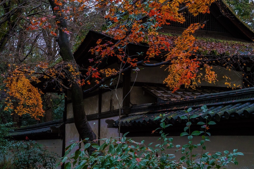 下鴨神社の絵馬と糺の森_e0363038_17333761.jpg