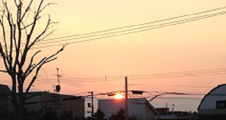 f0369840_15364823.png