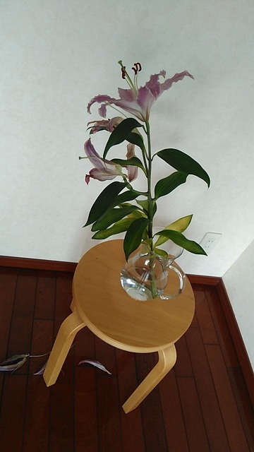 f0127256_08483330.jpg
