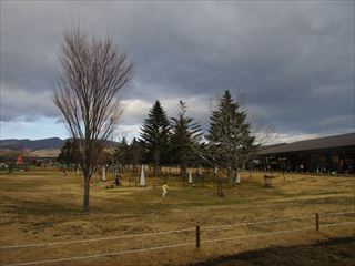 d0045362_10284729.jpg