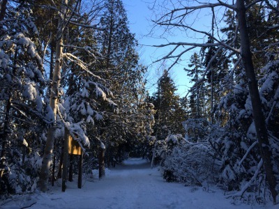 c0353373_22533093.jpg