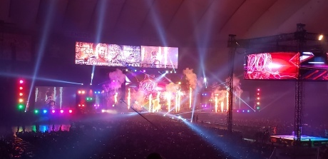 WRESTLE KINGDOM13 in 東京ドーム_a0168274_21254846.jpg