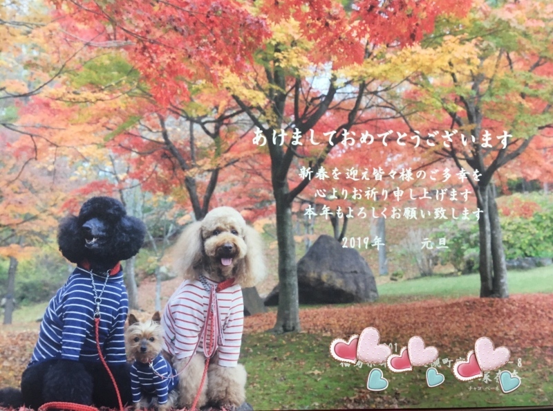 c0283778_16274540.jpeg