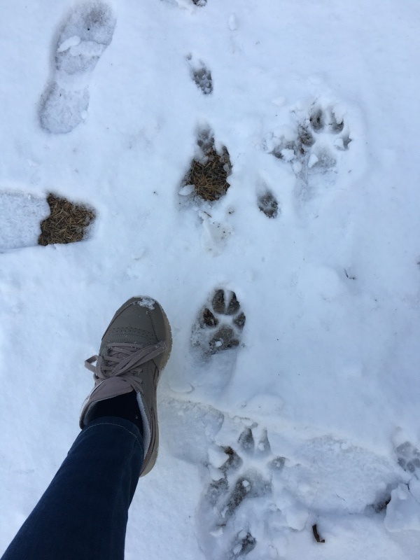 c0283778_16340217.jpeg