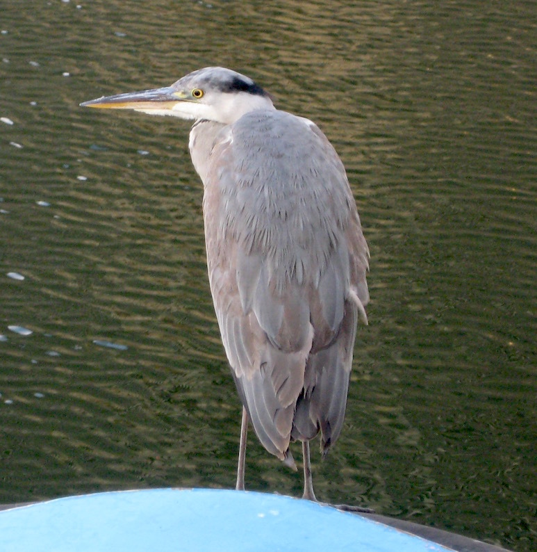 b0057679_08552187.jpg