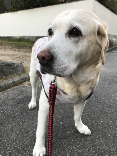 f0315081_22140216.jpeg