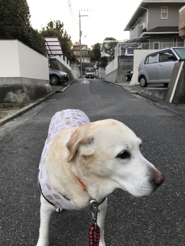 f0315081_22154700.jpeg