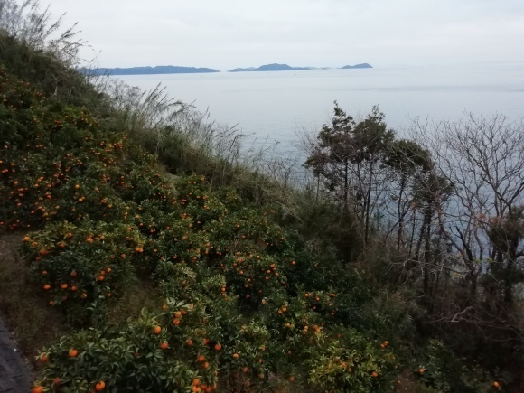c0212083_18581291.jpg