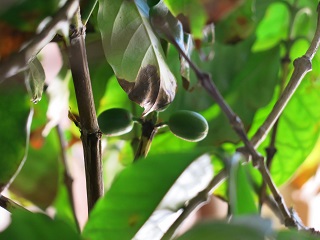e0130185_102109.jpg