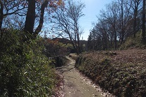 d0183387_12235239.jpg