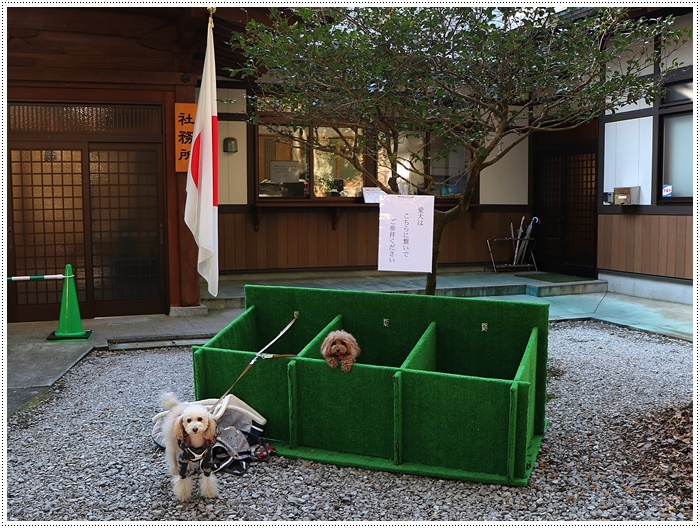 春日神社から柞原八幡宮へ、今年も三社参りが無事にできました。_b0175688_00384902.jpg