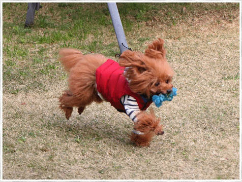 b0175688_22554585.gif