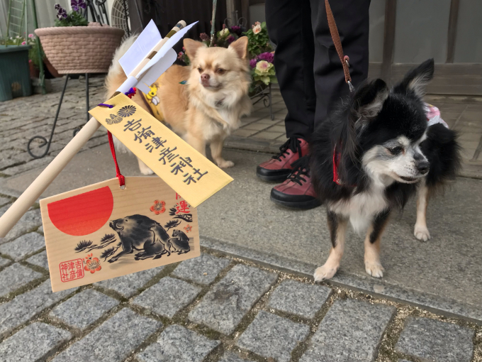 初詣は吉備津彦神社_c0139090_22255706.jpg