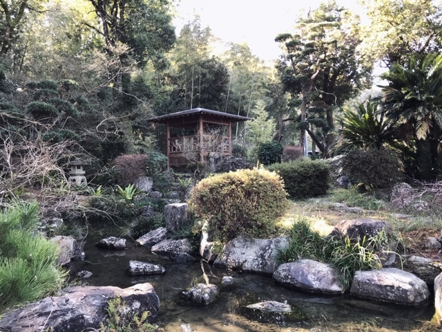 c0184491_19110961.jpg