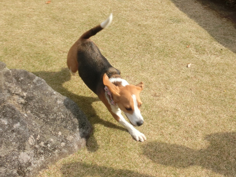 a0319693_912733.jpg